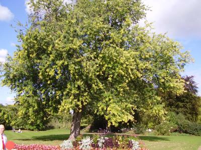 Schöner und vor allem großer Park Schöner und vor allem großer Park